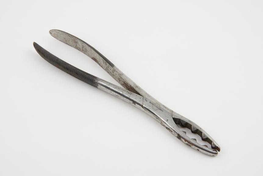 Bone forceps, steel, by Robert and Collin of Paris