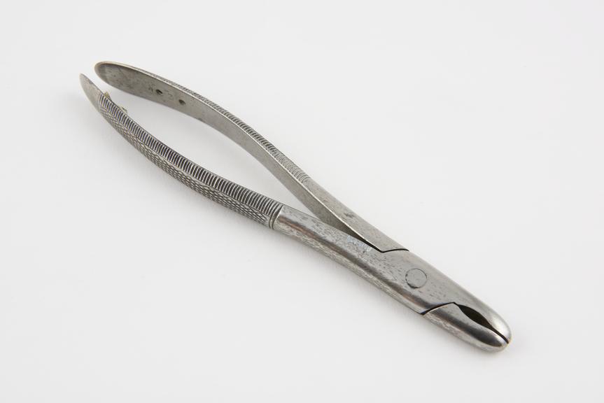 Gouge forceps, steel, spring missing, 19th century