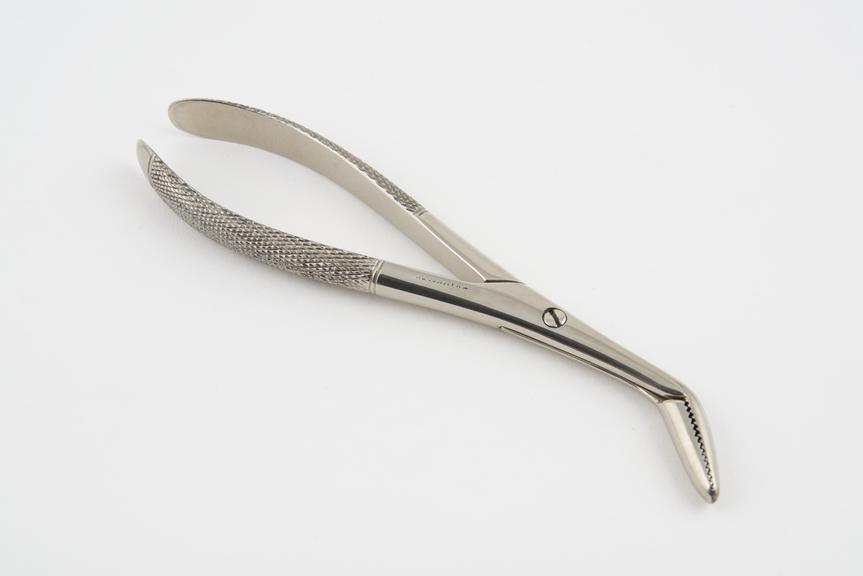 Necrosis forceps, nickel plated steel, by T