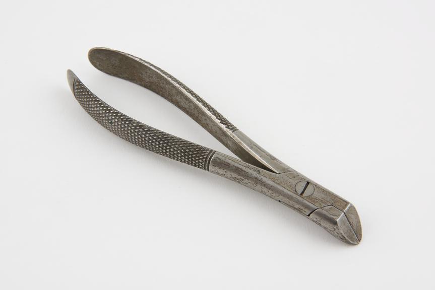 Wire cutter, steel, by Wood, English, mid-19th century