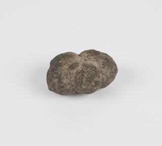 Manganese nodule collected by HMS Challenger, 1872-1876