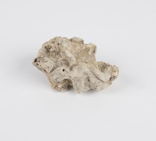 Sample ‘concretion of globigerina ooze’ collected by HMS Challenger, 1874