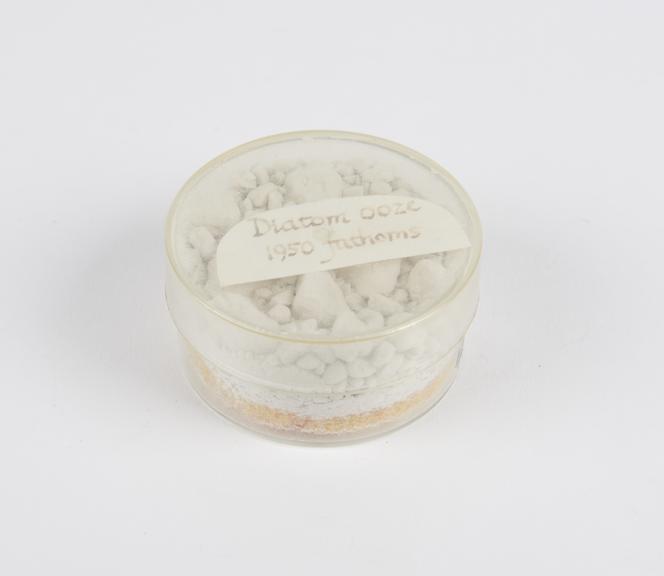 Sample of diatomic ooze, collected by HMS Challenger, 1872-1876