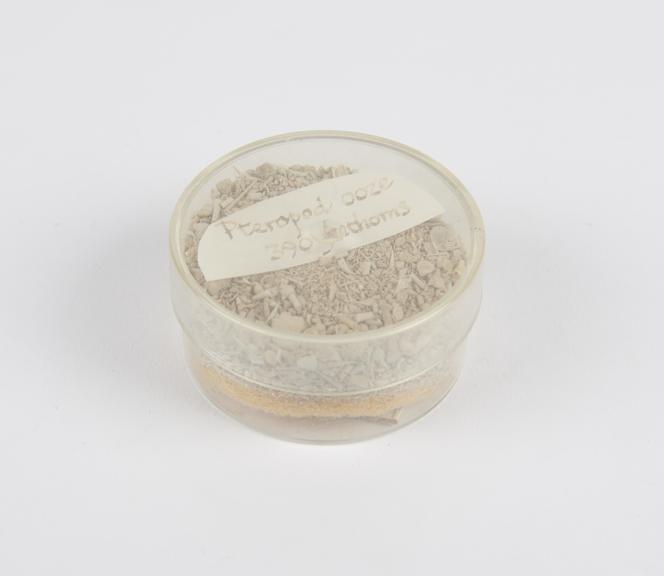 Sample of Pteropod ooze collected by HMS Challenger, 1872-1876