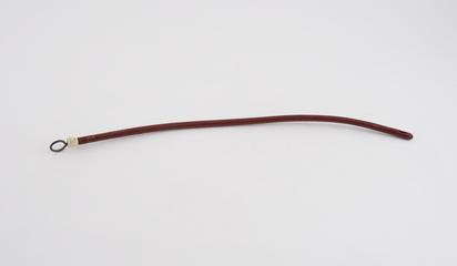 Elastic gum catheter