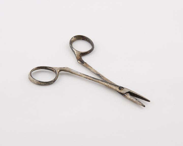 Spencer Wells artery forceps, screw joint, plated steel