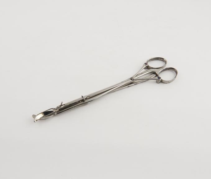 Tonsil scissors, steel, plated, possibly French