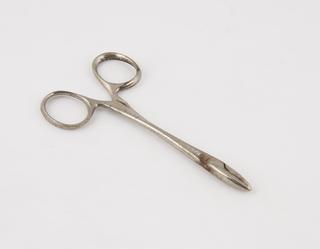 Artery forceps