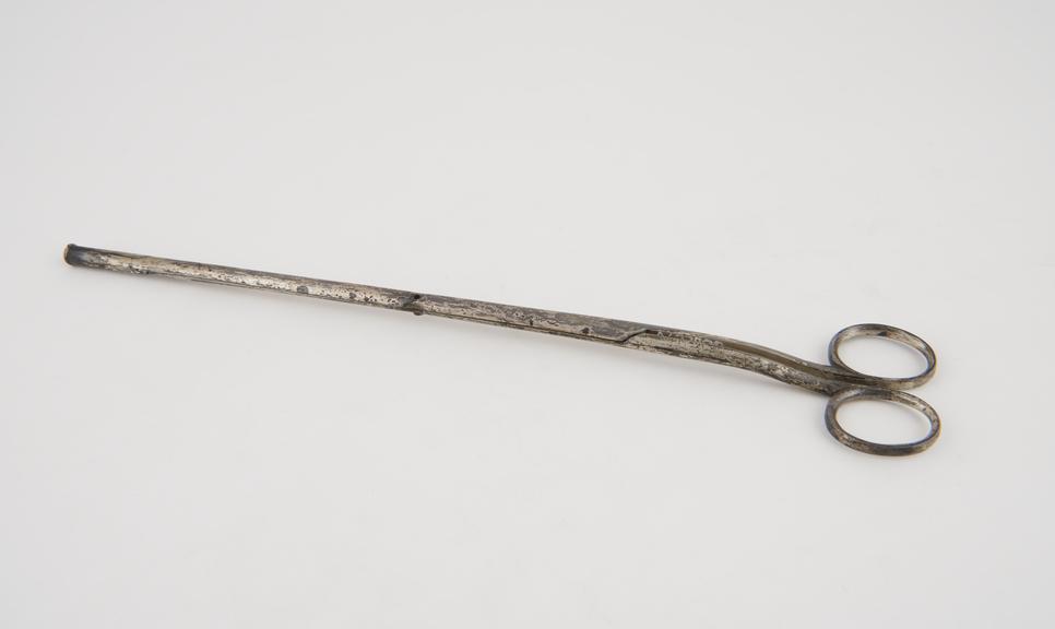 Probably caustic applicator, by Coxeter of London, 1836-1923