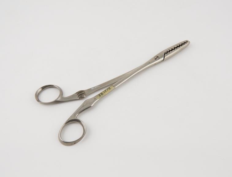 Spencer Wells cyst forceps, screw-joint, steel, nickel-plated