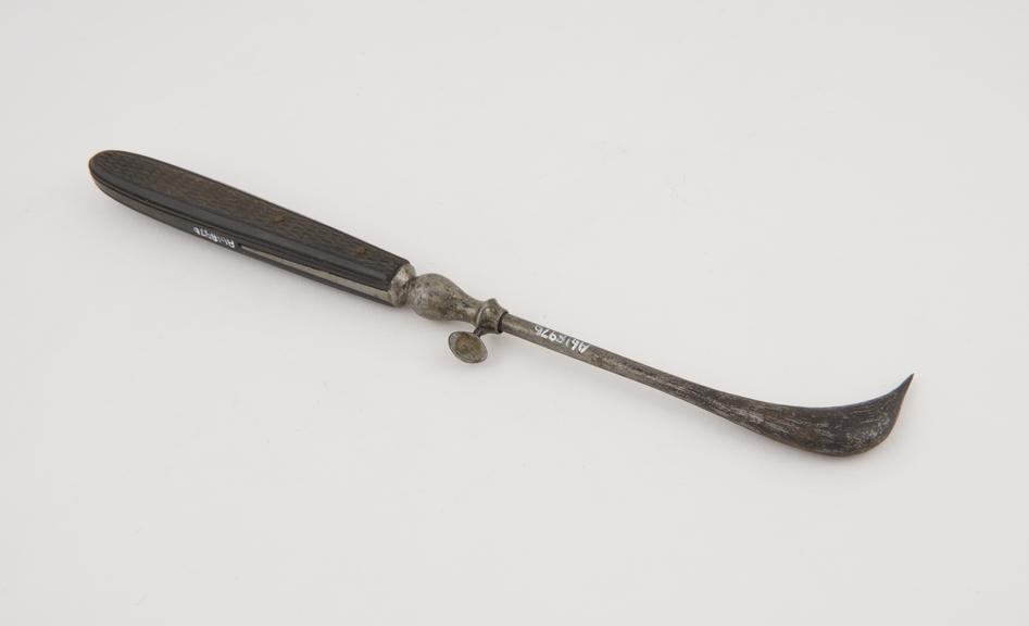 Cautery, 19th century, probably French, steel, brass and ebony.