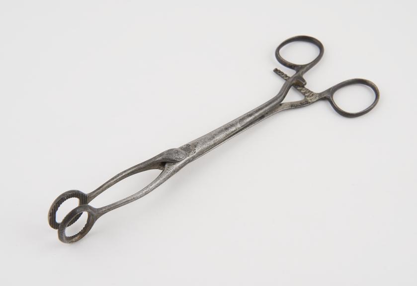 Ovum forceps, steel, 19th century