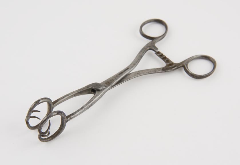 Gland forceps, steel, by Down of London, late 19th century