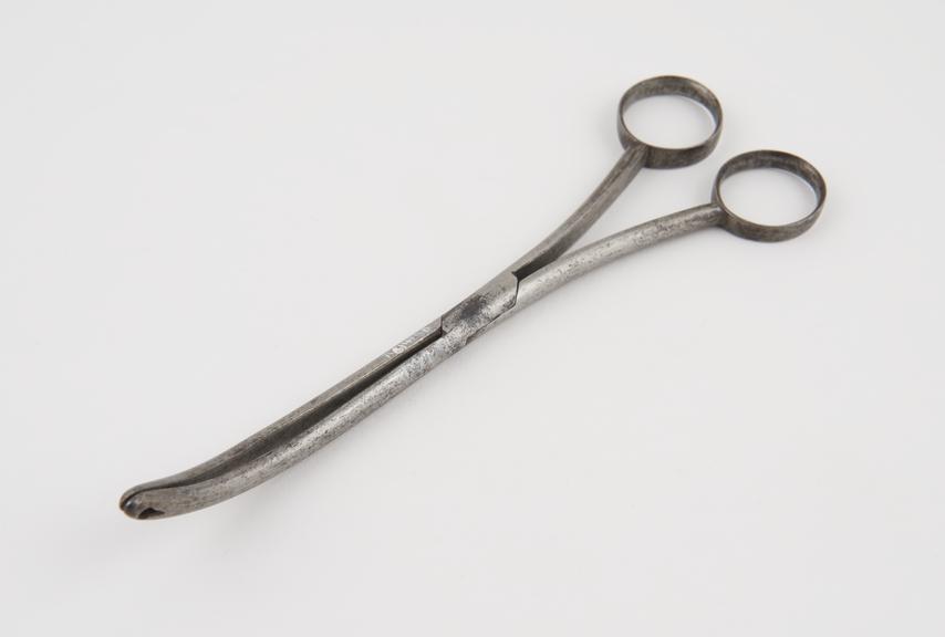 Polypus forceps, steel, 1750-1850