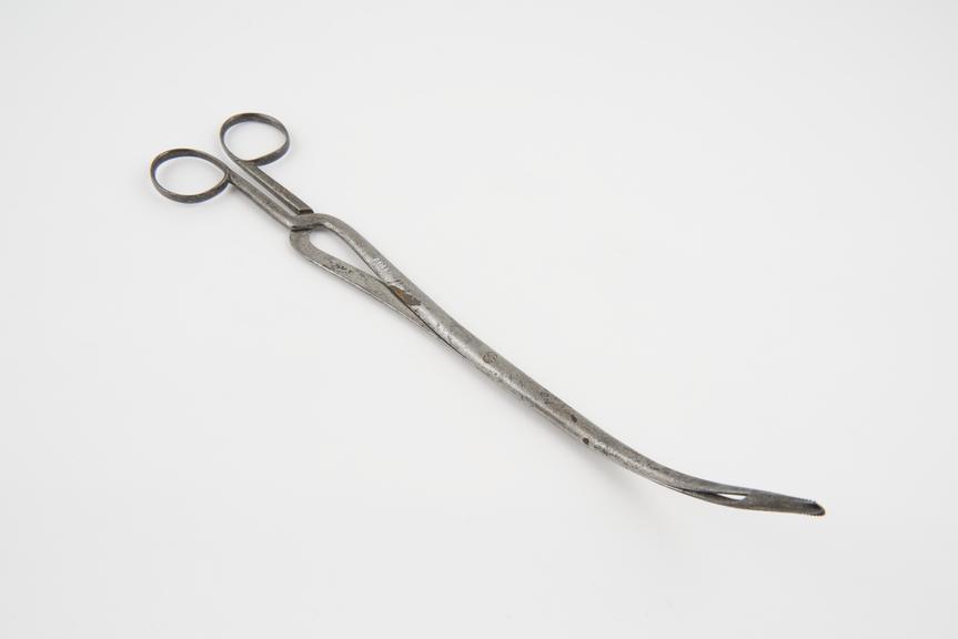 Laryngeal forceps, steel, mid 19th century