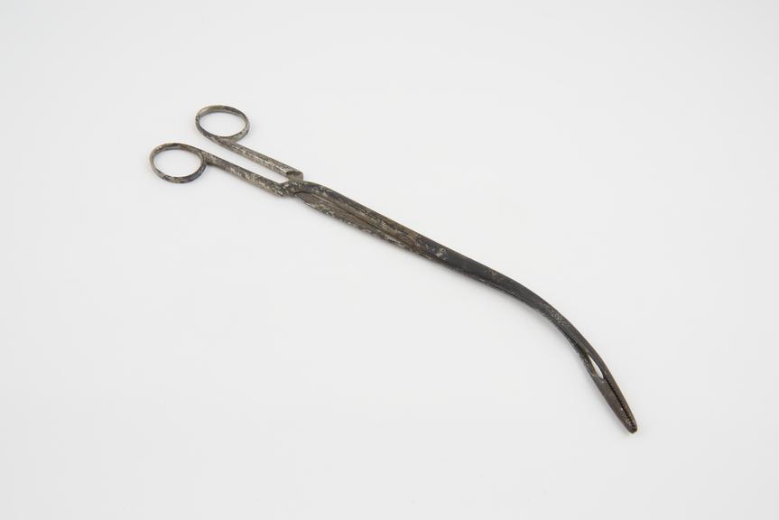 Laryngeal forceps, steel, second half 19th century