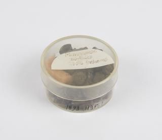 Manganese nodules collected by HMS Challenger, 1872-1876