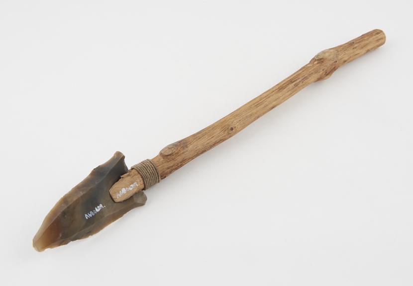 Trephine, in form of bow-drill shaft, skinned stick for shaft