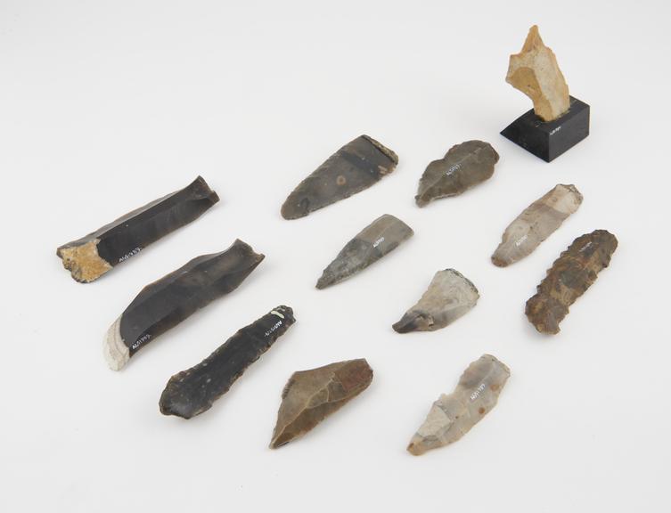 12 cutting instruments of flint and chert, probably made by Dr