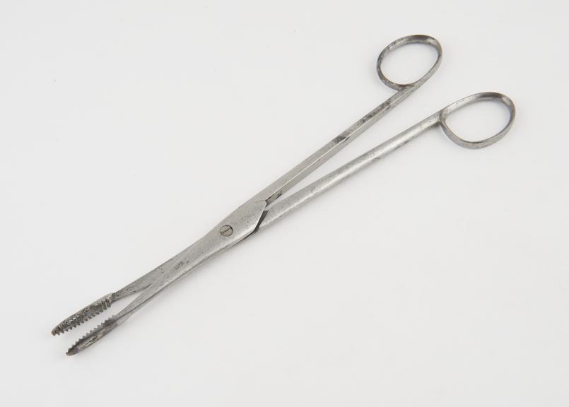 Forceps, steel, by Walters, British, 19th century