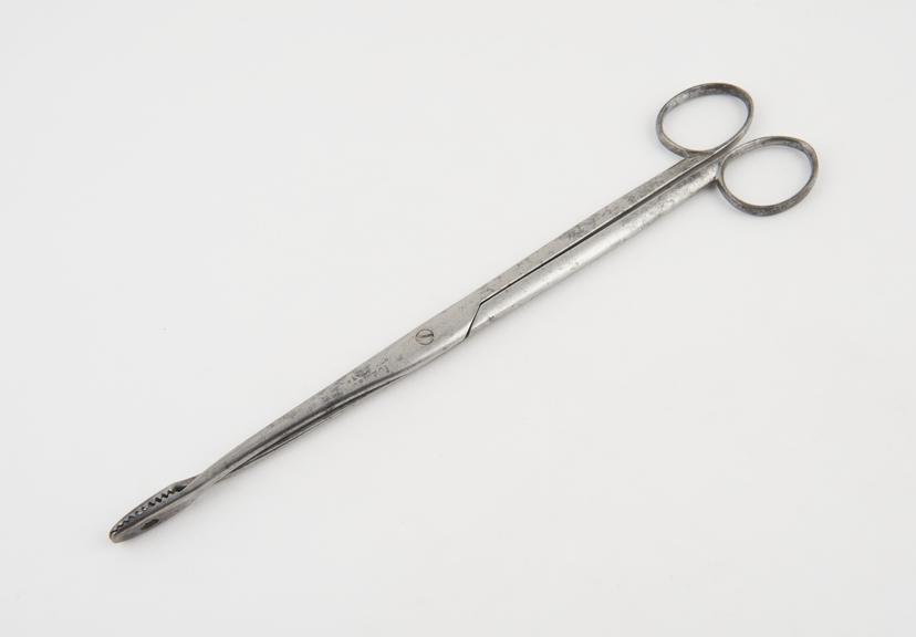 Uterine polypus forceps, steel, plated, by Ferris and Co