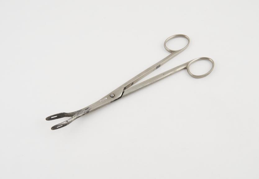 Uterine polypus forceps, steel, nickel-plated, probably British