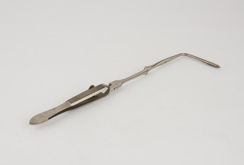 Sponge holding forceps, Bradis', modifified by MacKenzie, steel