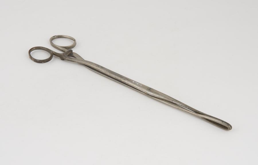 Rampley's sponge-holding forceps, steel, nickel-plated