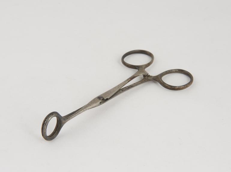 Sponge-holding forceps, steel, second half 19th century