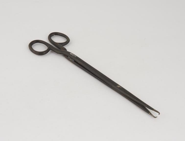 Sponge forceps, bakelite and steel, second half 19th century