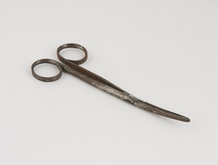 Angled sinus forceps, steel, plated, second half 19th century