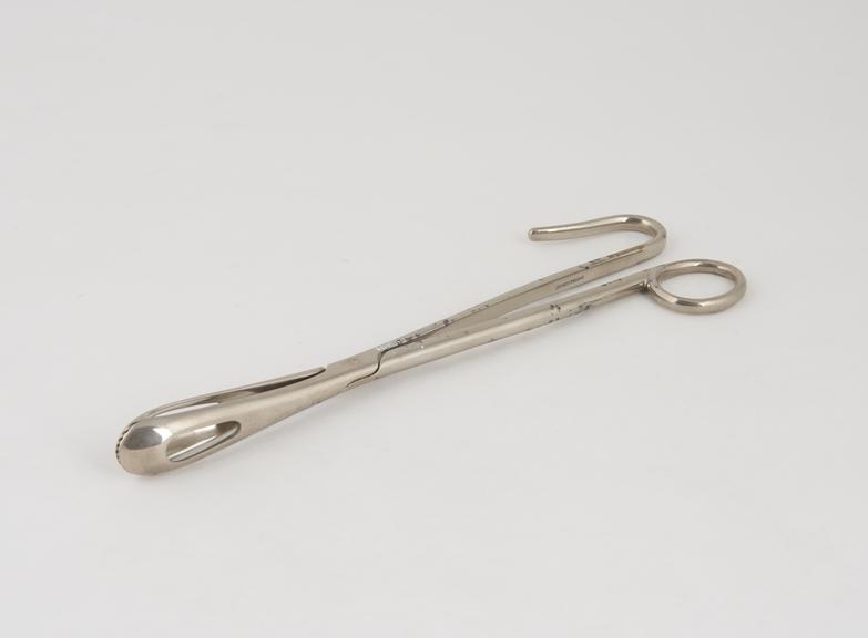 Thompson's bladder forceps, steel, nickel plated