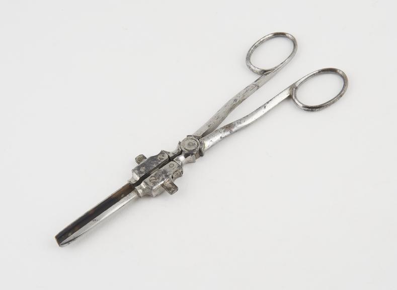 Phymosis forceps, steel, late 19th century