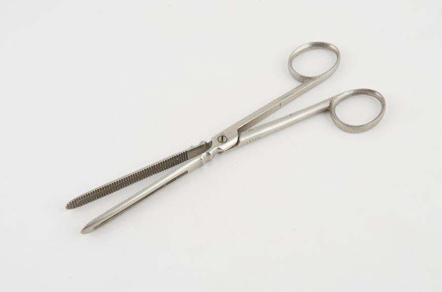 Ricord's phimosis forceps, steel, nickel-plated, 1880-1920