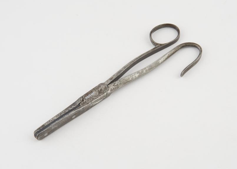 Phymosis forceps(?), steel, and ebony, 19th century