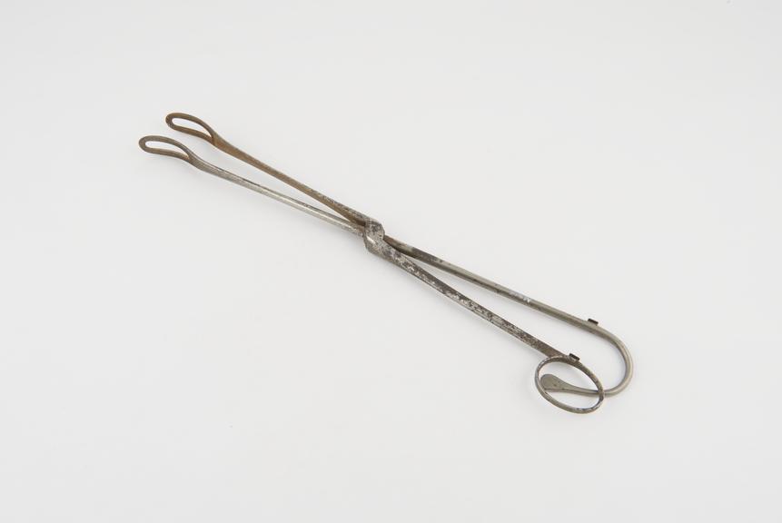 Ward's ovum forceps, for removal of cyst(?), steel