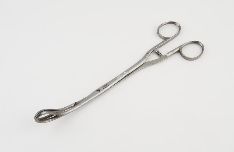 Ovum forceps, steel, by Savigny and Co. of London, 1810-1850