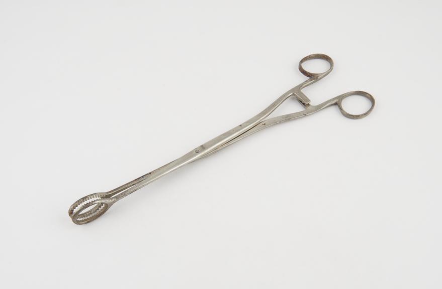 Ovum forceps, steel, nickel-plated