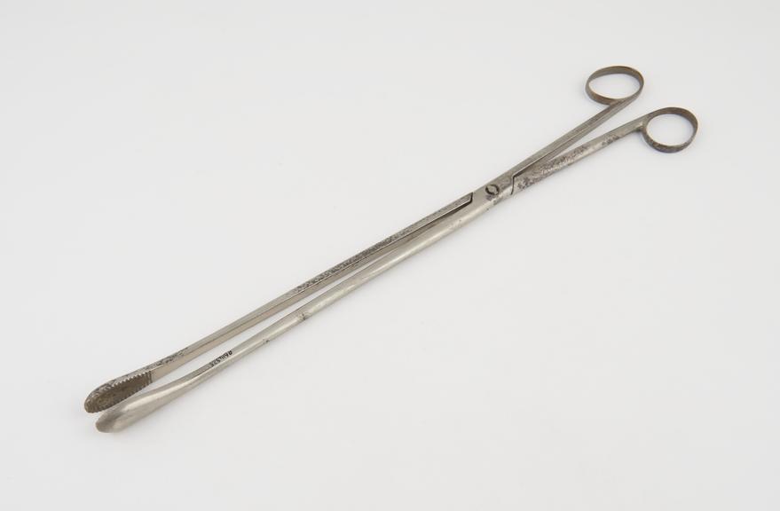 Ovum forceps(?), steel, nickel-plated, probably British