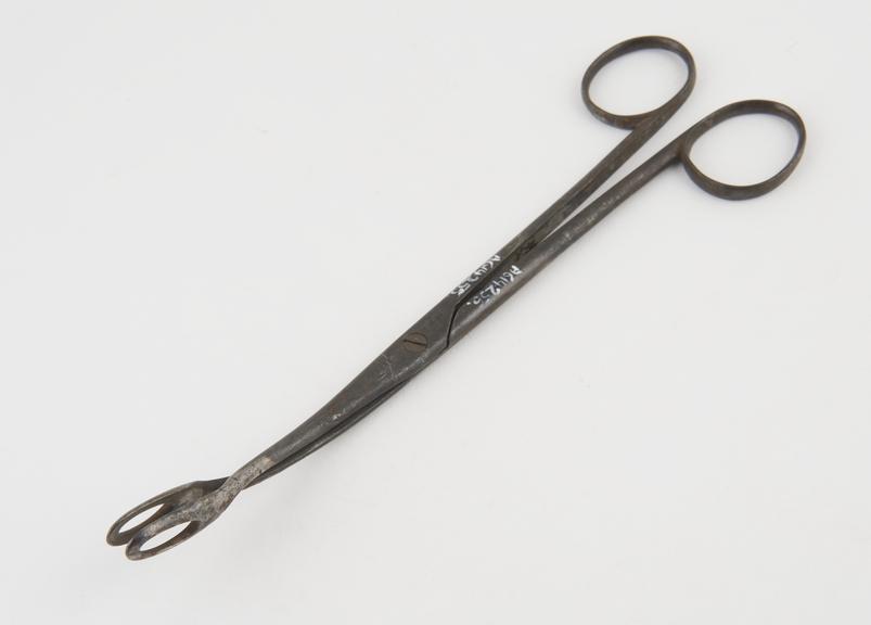 Ovum forceps, steel, by Weiss of London, mid-19th century