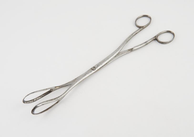 Forceps, ovum, Greenhalgh, metal, nickel-plated, by Stevens