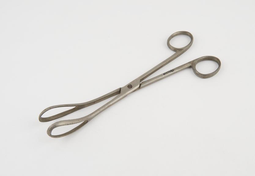 Ovum forceps, steel, nickel-plated