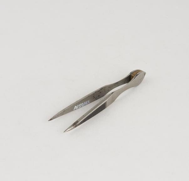 Tweezers, steel, 19th century