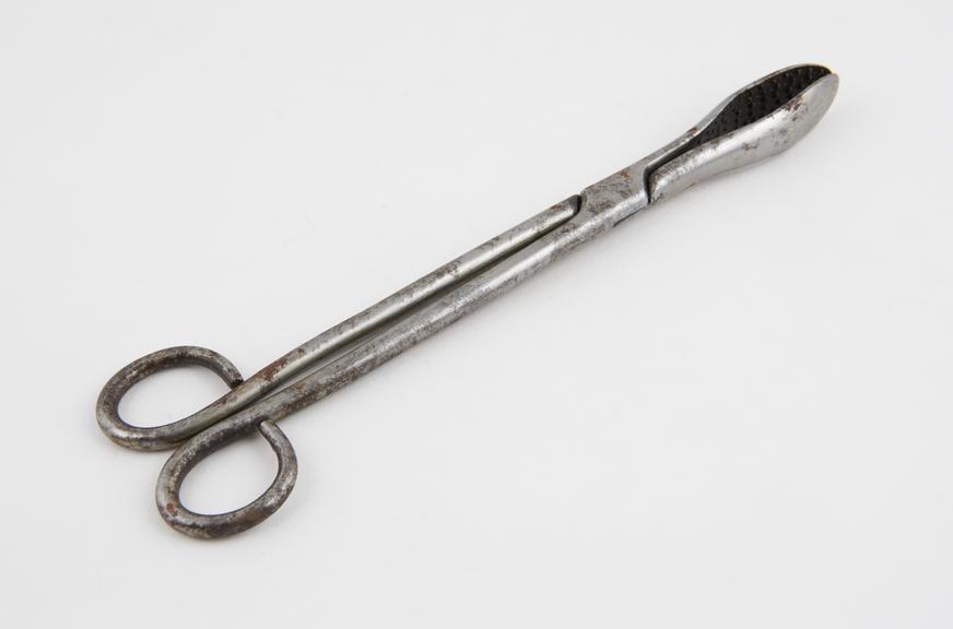 Personal relics. C.A. Taramelli surgical instrument