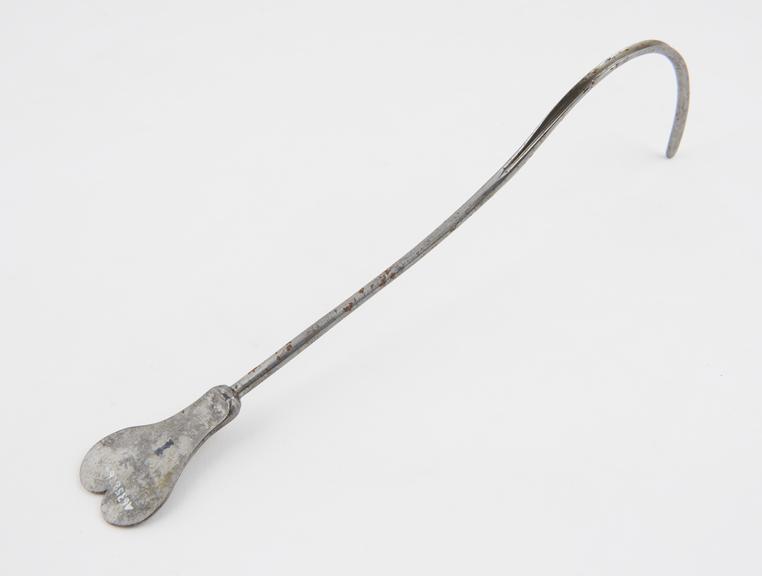 Personal relics. C.A. Taramelli surgical instrument