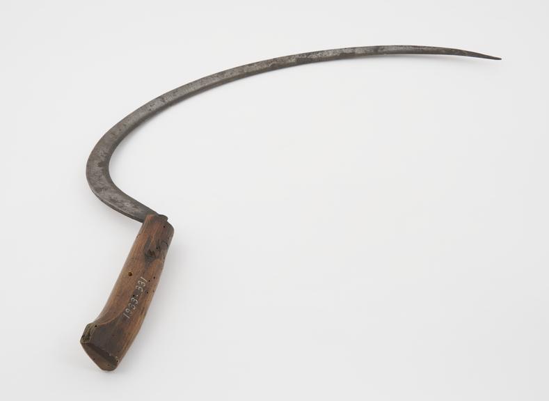 Early iron sickle