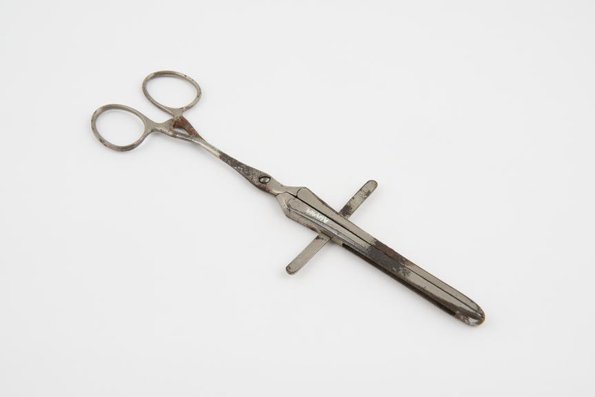 Phymosis forceps, steel, second half 19th century