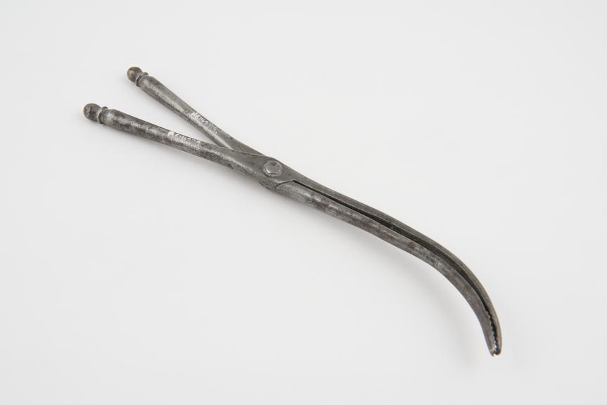 Laryngeal forceps, steel, 18th century