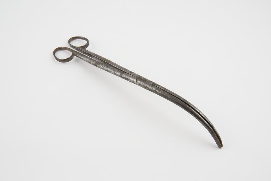 Laryngeal forceps, steel, by Schleiter, European