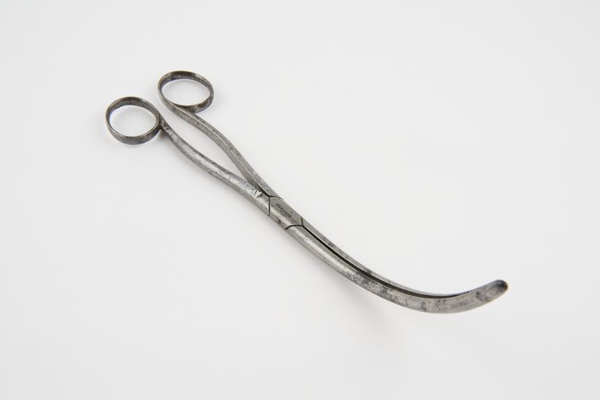 Laryngeal forceps, steel, by Lindsey of London, mid-19th century